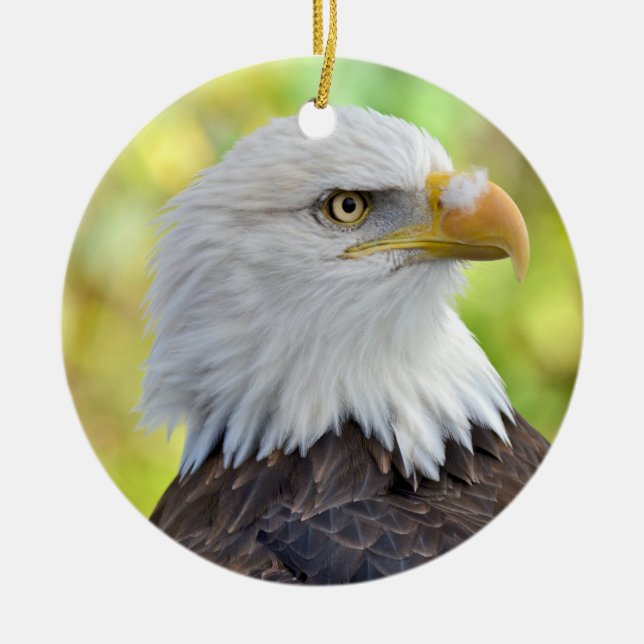 American bald eagle ceramic ornament (Front)