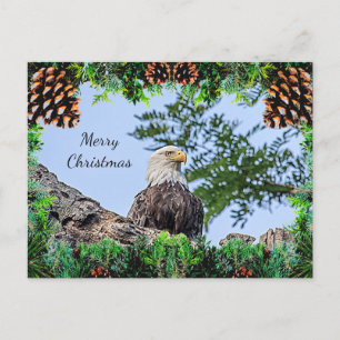 American Bald Eagle Christmas Card