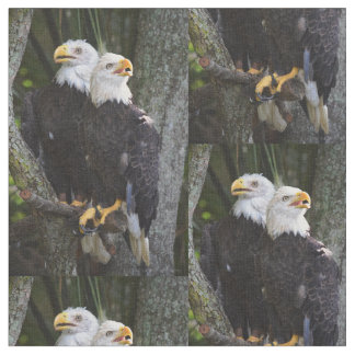 American Bald Eagle Fabric
