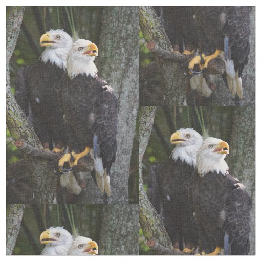 American Bald Eagle Fabric