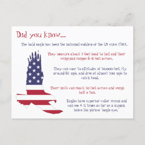 American Bald Eagle Facts Postcard