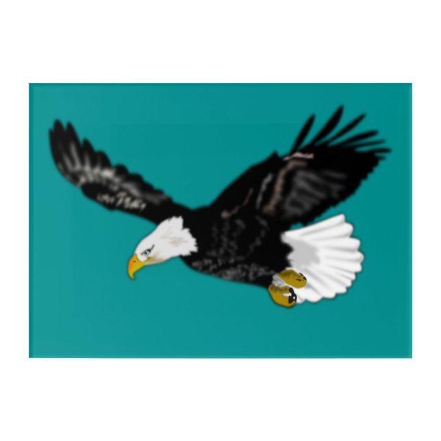 American Bald Eagle Flying Acrylic Print - Paintin (Front)