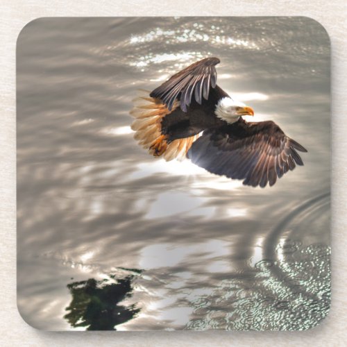 American Bald Eagle Flying Over Ocean Coaster