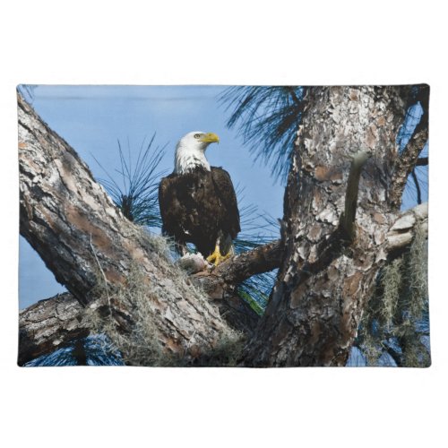 American Bald Eagle  Ft Myers Florida Cloth Placemat