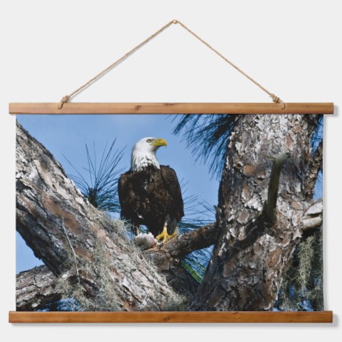 American Bald Eagle  Ft Myers Florida Hanging Tapestry