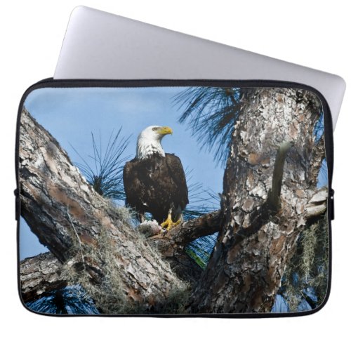 American Bald Eagle  Ft Myers Florida Laptop Sleeve