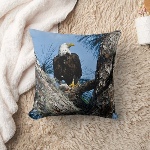 American Bald Eagle  Ft Myers Florida Throw Pillow