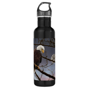 American Bald Eagle Full Moon Eagle Photography Stainless Steel Water Bottle