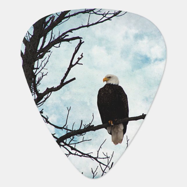 American Bald Eagle Guitar Pick (Front)
