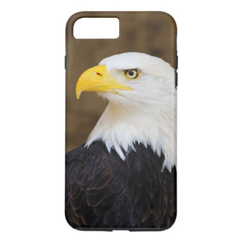 American Bald Eagle Haliaeetus Leucocephalus iPhone 8 Plus7 Plus Case