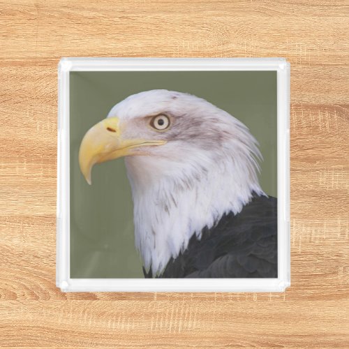 American Bald Eagle Head Acrylic Tray
