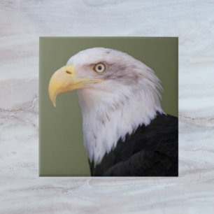 American Bald Eagle Head Ceramic Tile