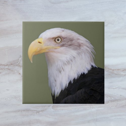 American Bald Eagle Head Ceramic Tile