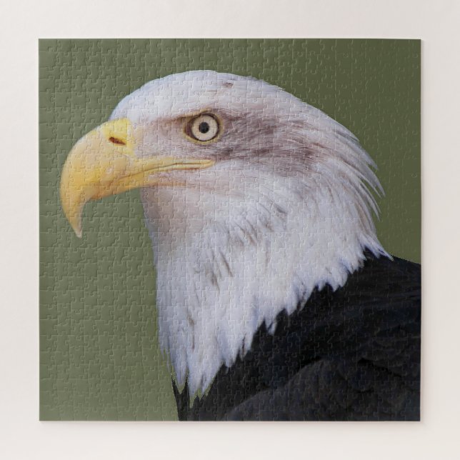 American Bald Eagle Head Jigsaw Puzzle (Vertical)