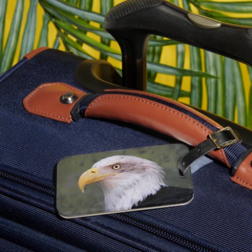 American Bald Eagle Head Luggage Tag