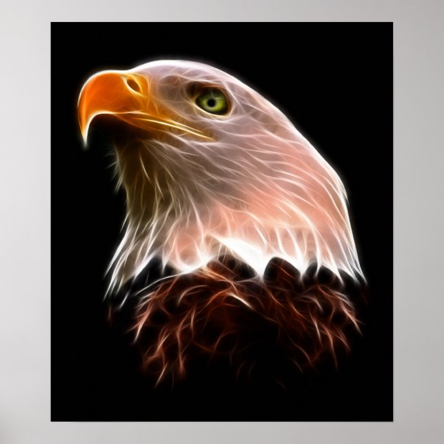 American Bald Eagle Head Poster (Front)