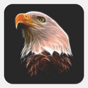 American Bald Eagle Head Square Sticker