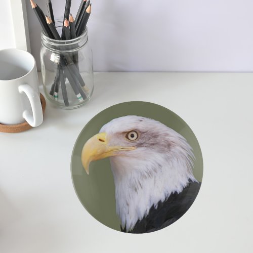 American Bald Eagle Head Trinket Tray