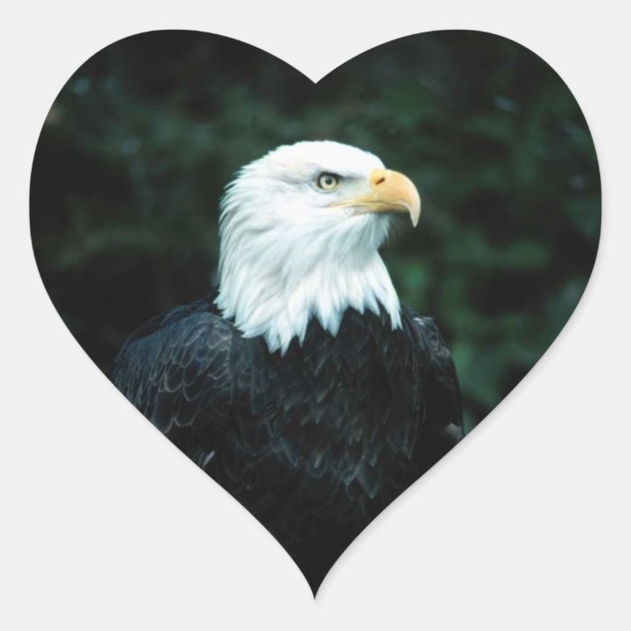 American Bald Eagle Heart Sticker