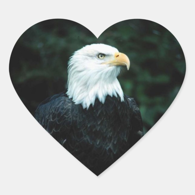 American Bald Eagle Heart Sticker (Front)