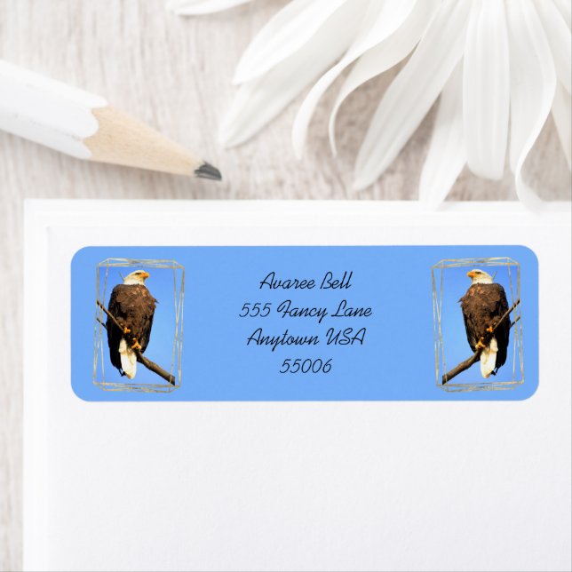 American Bald Eagle In Gold Frame Label (Insitu)