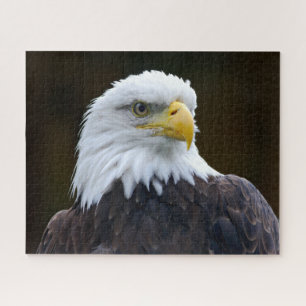 American Bald Eagle Jigsaw Puzzle