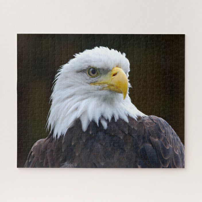 American Bald Eagle Jigsaw Puzzle