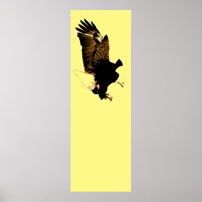 American Bald Eagle Landing Poster (Front)