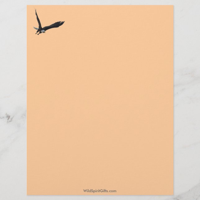 AMERICAN BALD EAGLE Letterhead Design (Front)