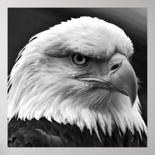 American Bald Eagle Motivational Leadership Poster