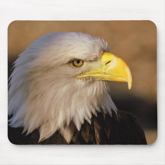 American Bald Eagle Mouse Pad (Front)