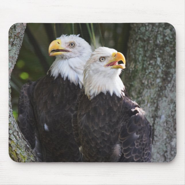American Bald Eagle Mousepad (Front)