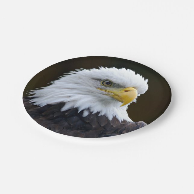 American Bald Eagle Paper Plates (Angled)