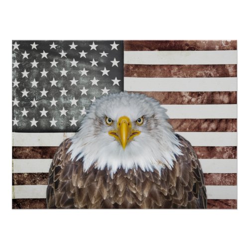 American Bald Eagle Patriot Poster
