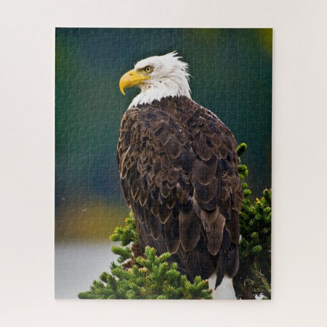 American Bald Eagle Perched Jigsaw Puzzle (Vertical)