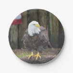 American Bald Eagle Perched on a Log Paper Plates