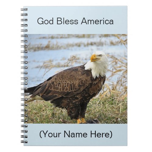 American Bald Eagle Photo on an 8x10 Journal