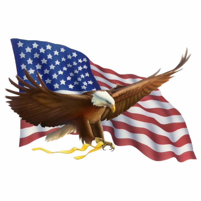 American Bald Eagle Pin Cutout | Zazzle.com