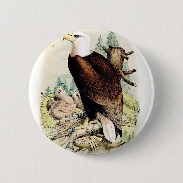 American Bald Eagle Pinback Button (Front)