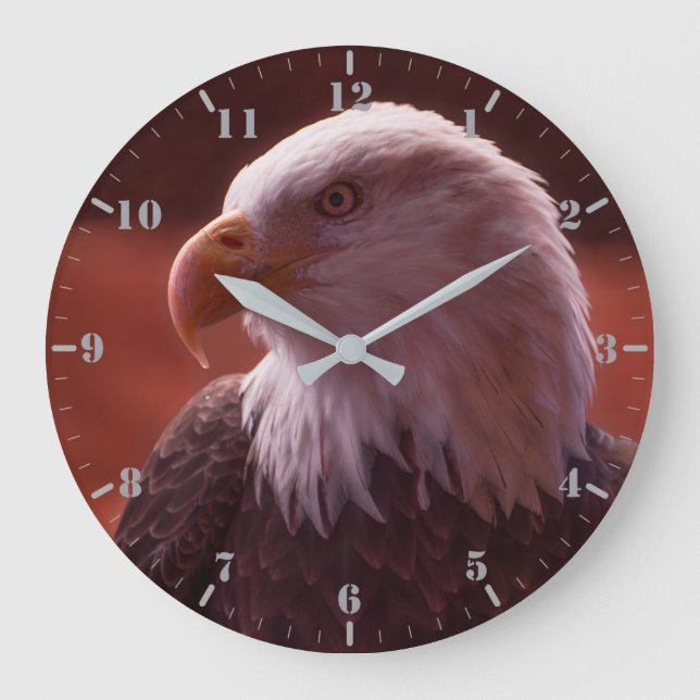 American Bald Eagle portrait photography   Large Clock (Front)