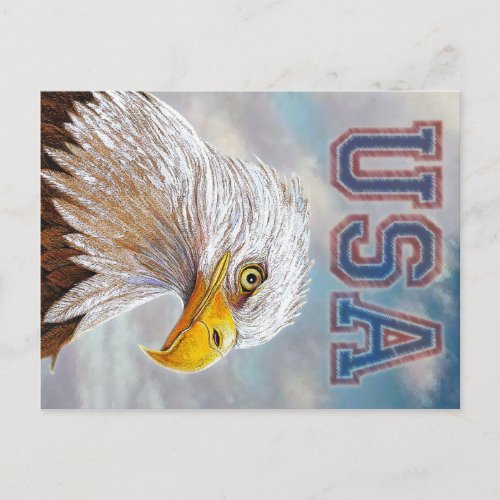 American Bald Eagle Postcard