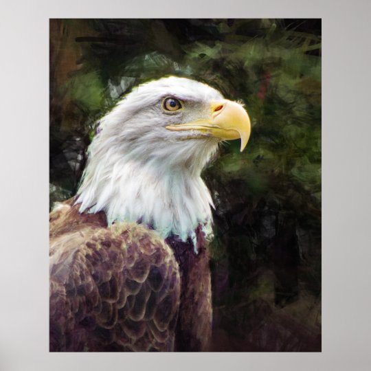 American Bald Eagle Poster | Zazzle.com