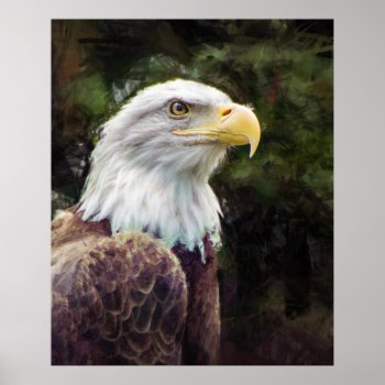 American Bald Eagle Poster by politix at Zazzle