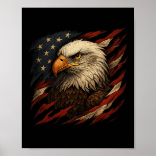 American Bald Eagle  Poster