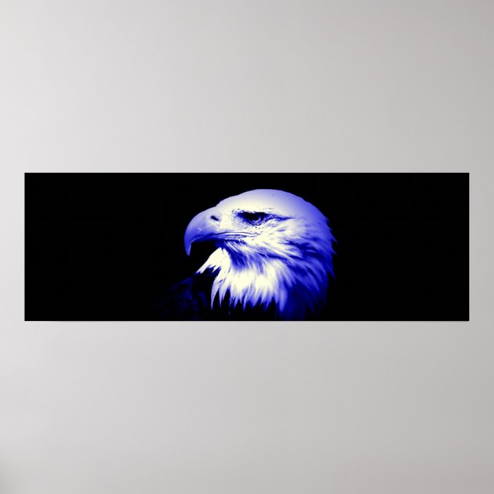 American Bald Eagle Poster Print