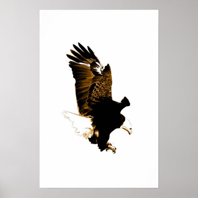 American Bald Eagle Poster Print Eagles Posters (Front)