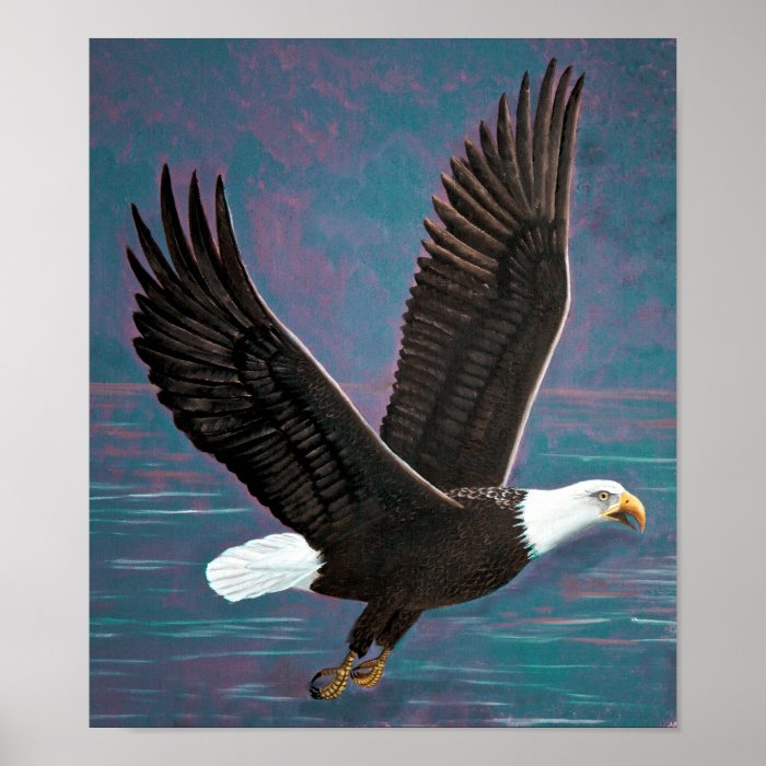 American Bald Eagle Print