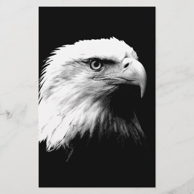 American Bald Eagle Stationery (Front)