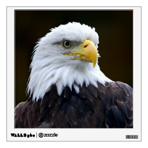 American Bald Eagle Wall Decal