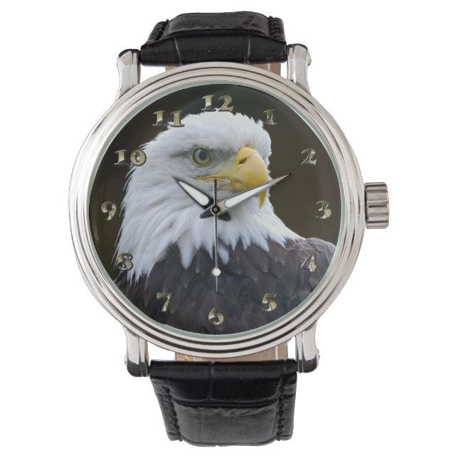 American Bald Eagle Watch (Front)